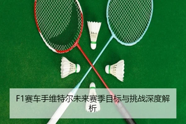 F1赛车手维特尔未来赛季目标与挑战深度解析